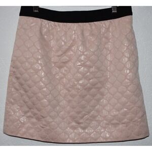 Ann Taylor Loft 6P Pink Irredescent Mini Skirt Textured Metallic Stretch Waist